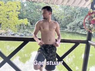 Gaelstuart