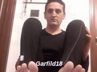Garfild18