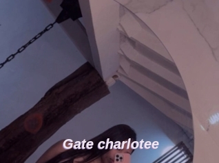Gate_charlotee