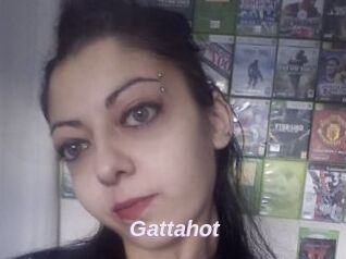 Gattahot