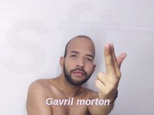 Gavril_morton