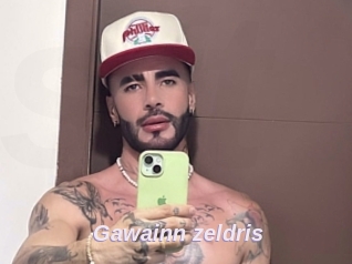 Gawainn_zeldris