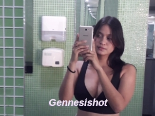 Gennesishot