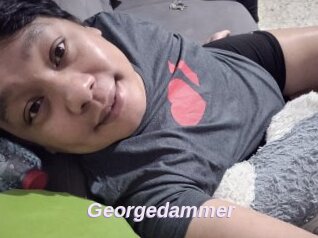 Georgedammer