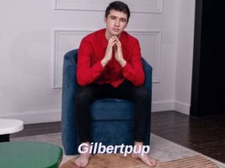 Gilbertpup