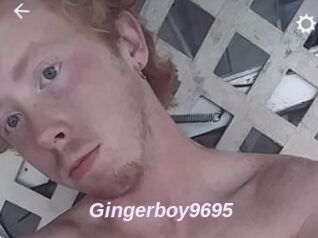 Gingerboy9695