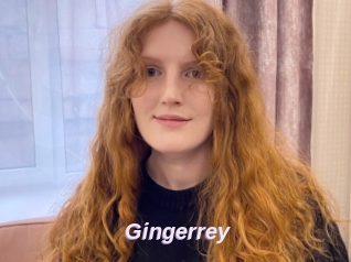 Gingerrey