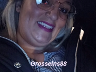 Grosseins88
