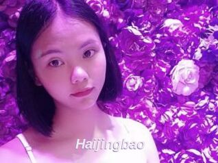 Haijingbao