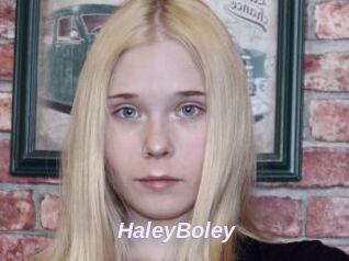 HaleyBoley
