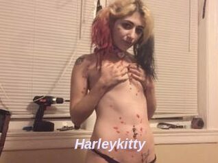Harleykitty