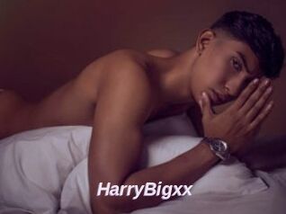 HarryBigxx