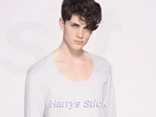 Harrys_Stick