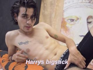 Harrys_bigstick