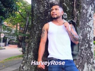 HarveyRose
