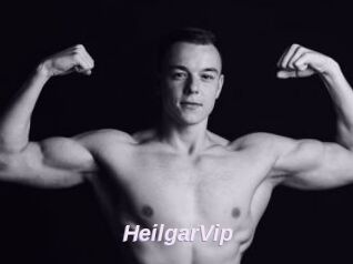 HeilgarVip