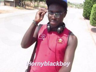 Hornyblackboy