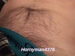 Hornyman4378