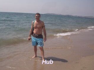 Hub