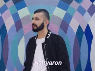 Hairyaron
