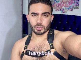 Hairyboyx