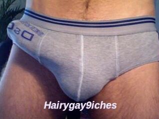 Hairygay9iches