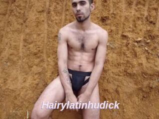 Hairylatinhudick