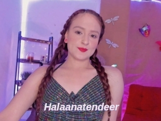 Halaanatendeer