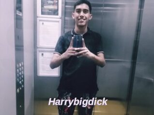 Harrybigdick
