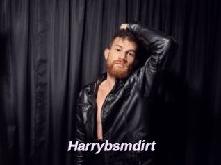 Harrybsmdirt