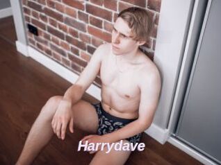 Harrydave