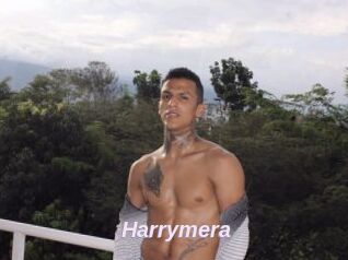 Harrymera