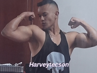 Harveytecson