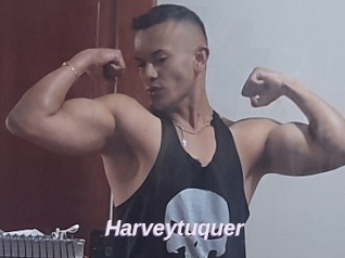Harveytuquer