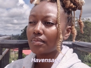 Havensage