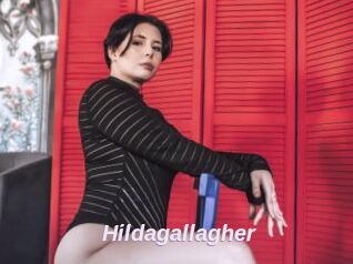 Hildagallagher