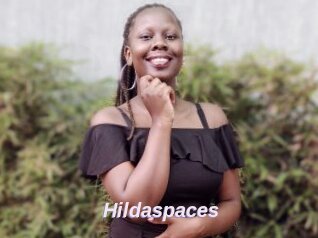 Hildaspaces