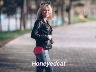 Honeyedcat