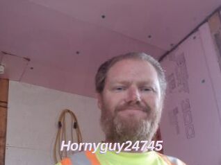 Hornyguy24745