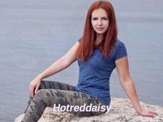 Hotreddaisy