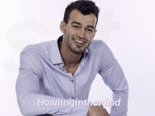 Howlinginthewind