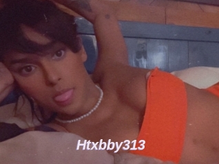 Htxbby313