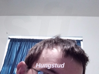 Hungstud