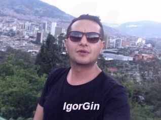 IgorGin