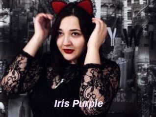 Iris_Purple