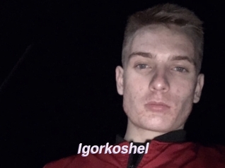 Igorkoshel