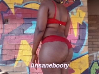 Iinsanebooty