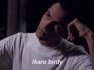 Ikaro_birdy