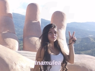 Inamulea