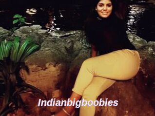 Indianbigboobies